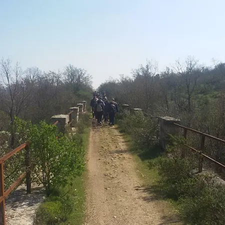 مزرعة للإقامة Con Trullo