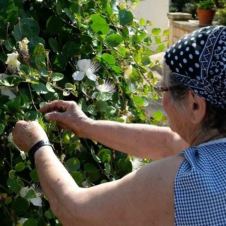 مزرعة للإقامة Con Trullo